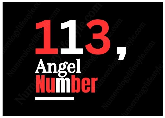 Discover the meaning of 113 angel number twin flame