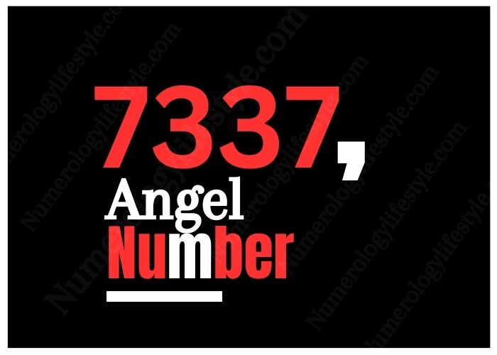 7337 Angel Number in 2024