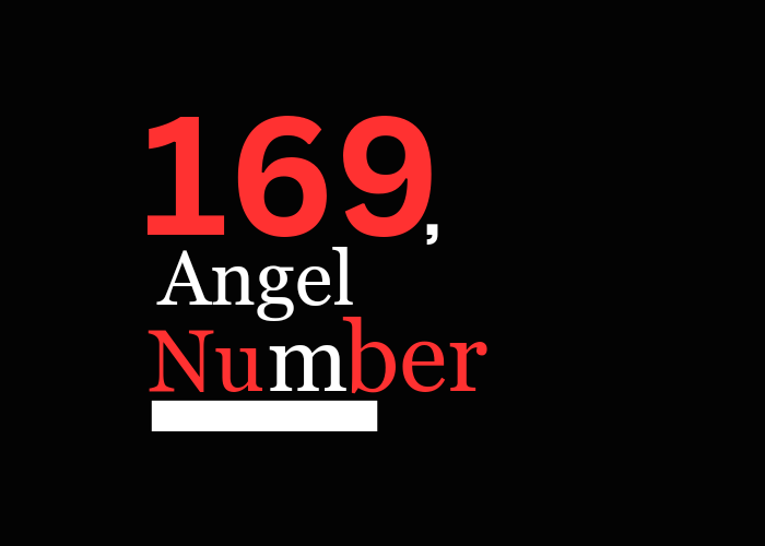 Secrets of 169 Angel Number Twin Flame in 2024