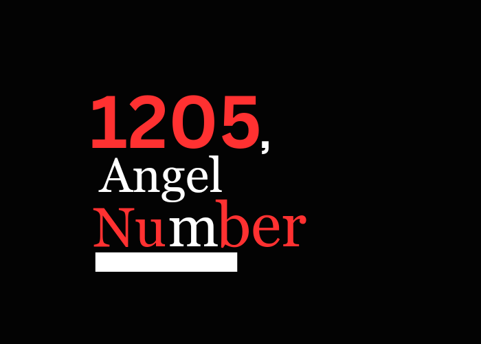 Meaning of 1205 Angel Number in 2024