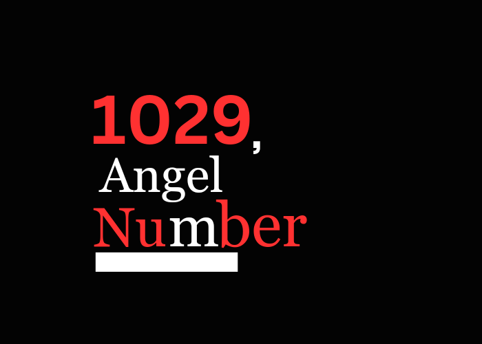 1029 Angel Number