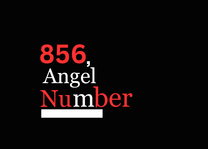 Discover the Hidden Meaning of Angel Number 856 for Twin Flames