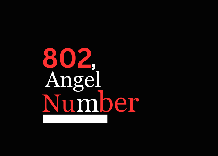 802 Angel Number Twin Flame 2024