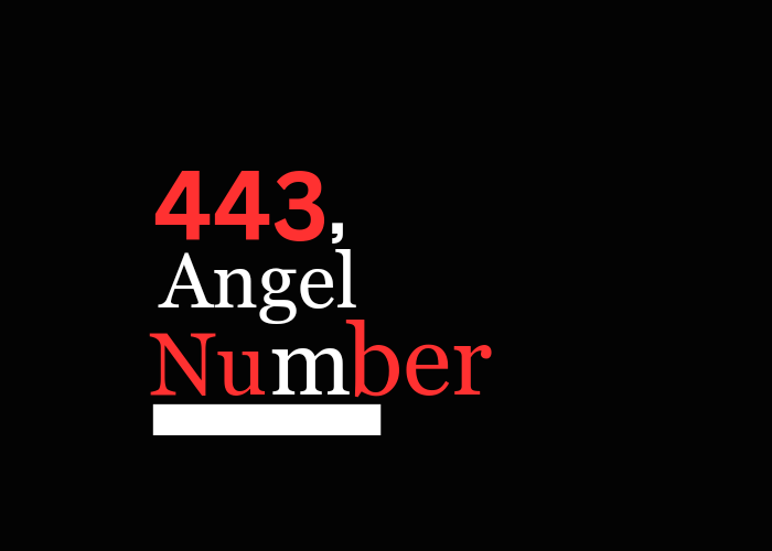 443 Angel Number Twin Flame Separation 2024