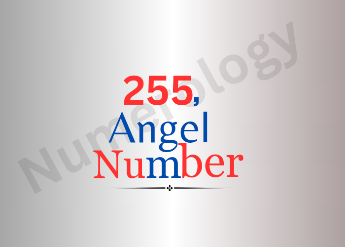 255 angel number