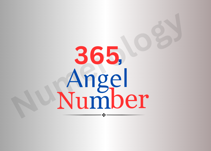 Discover the Hidden Meaning of 365 Angel Number Twin Flame