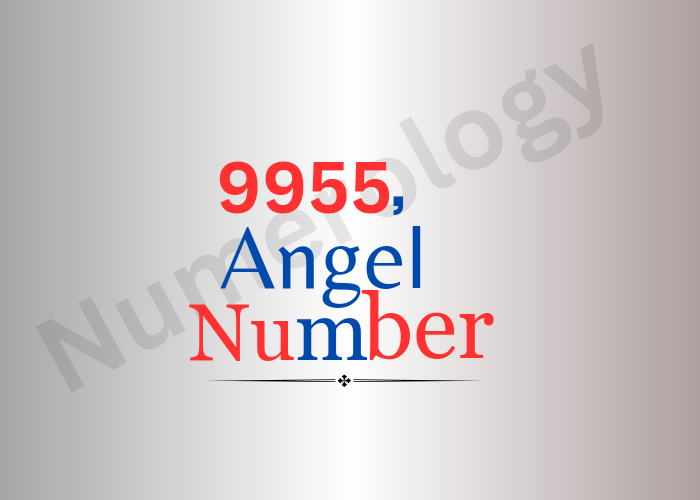 9955 Angel Number in 2024
