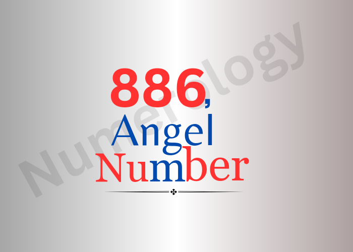 886 Angel Number in 2024